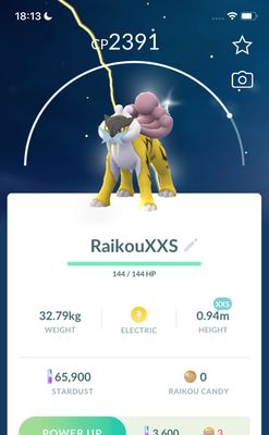 Raikou Purified (XXS Height) Trade - Pokemon GO Trade