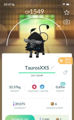 Paldean Tauros Aqua Breed Trade (XXS Height) - Pokemon GO Trade