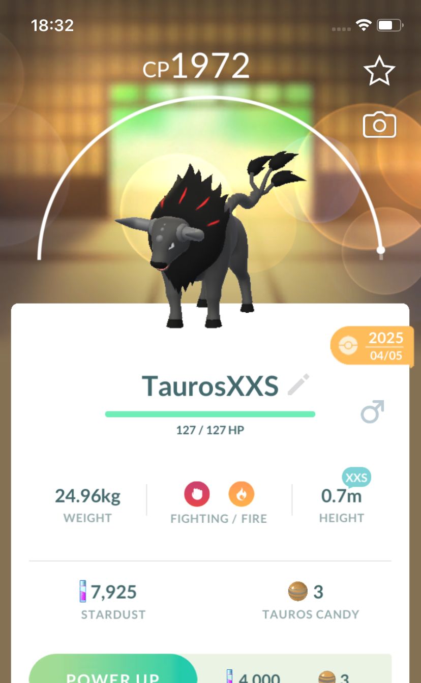 Paldean Tauros Blaze Breed Trade (XXS Height) - Pokemon GO Trade