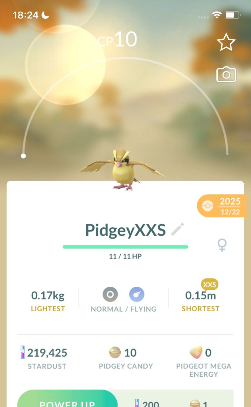 Pidgey (XXS Height) - Pokemon GO Trade Service