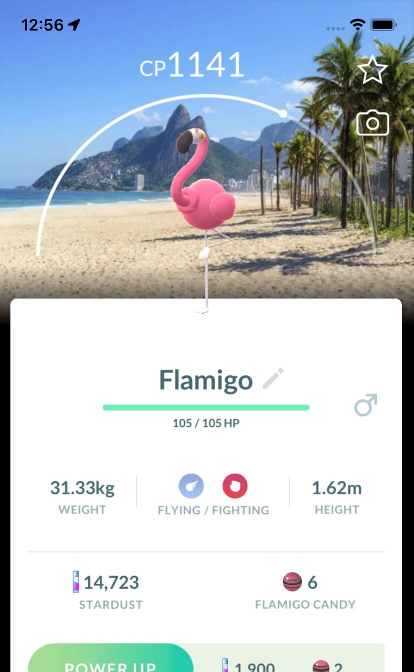 Flamigo with Rio de Janeiro Background Trade - Pokemon GO Trade