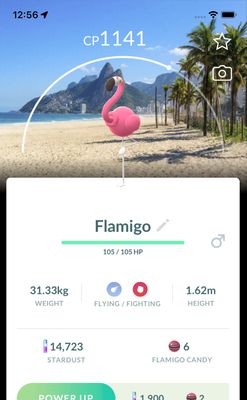 Flamigo with Rio de Janeiro Background Trade - Pokemon GO Trade