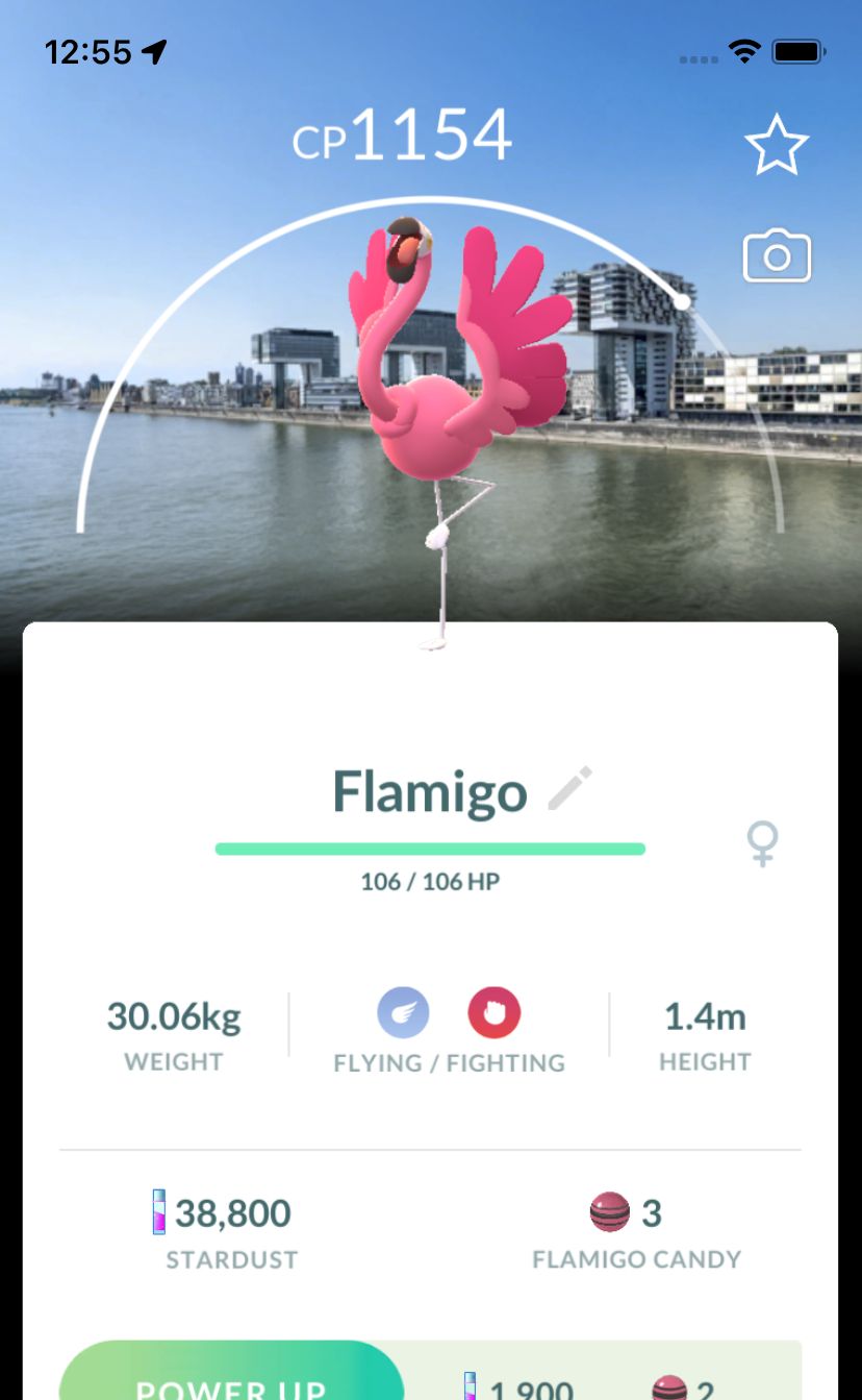 Flamigo with Cologne Background Trade - Pokemon GO Trade