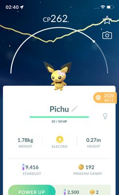 Pichu with Flowers 2020 (Guaranteed Lucky) - Pokemon GO Trade