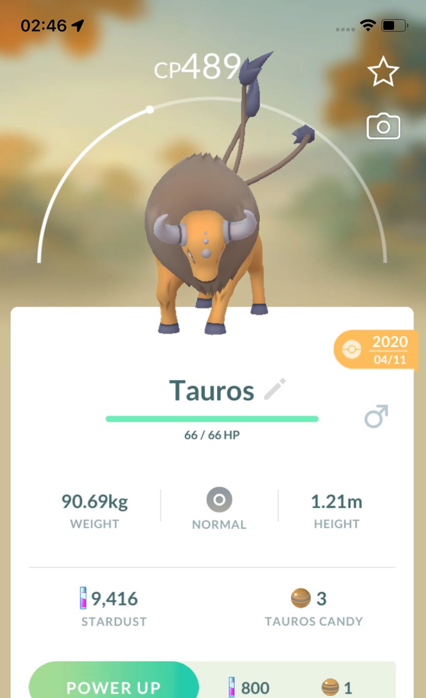 Tauros 2020 (Guaranteed Lucky) - Pokemon GO Trade