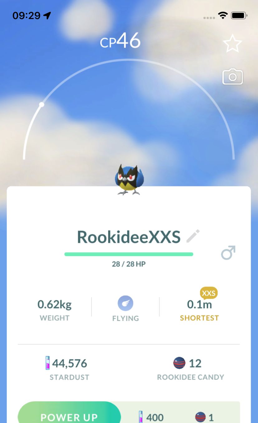 Rookidee (XXS Height) - Pokemon GO Trade Service