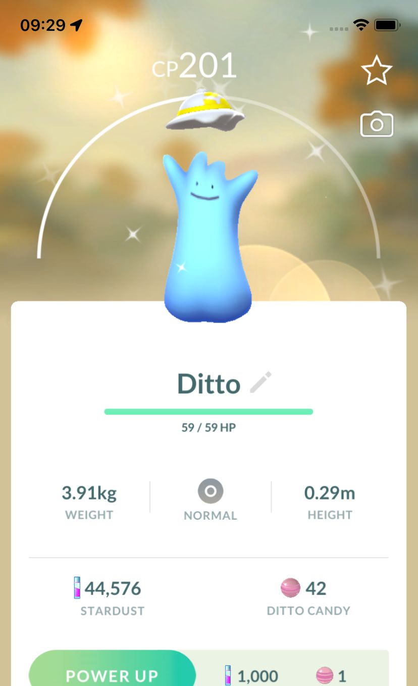 Shiny Ditto with Hat (Pokopia Event) - Pokemon GO Trade