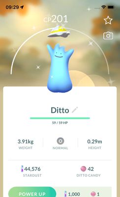Shiny Ditto with Hat (Pokopia Event) - Pokemon GO Trade