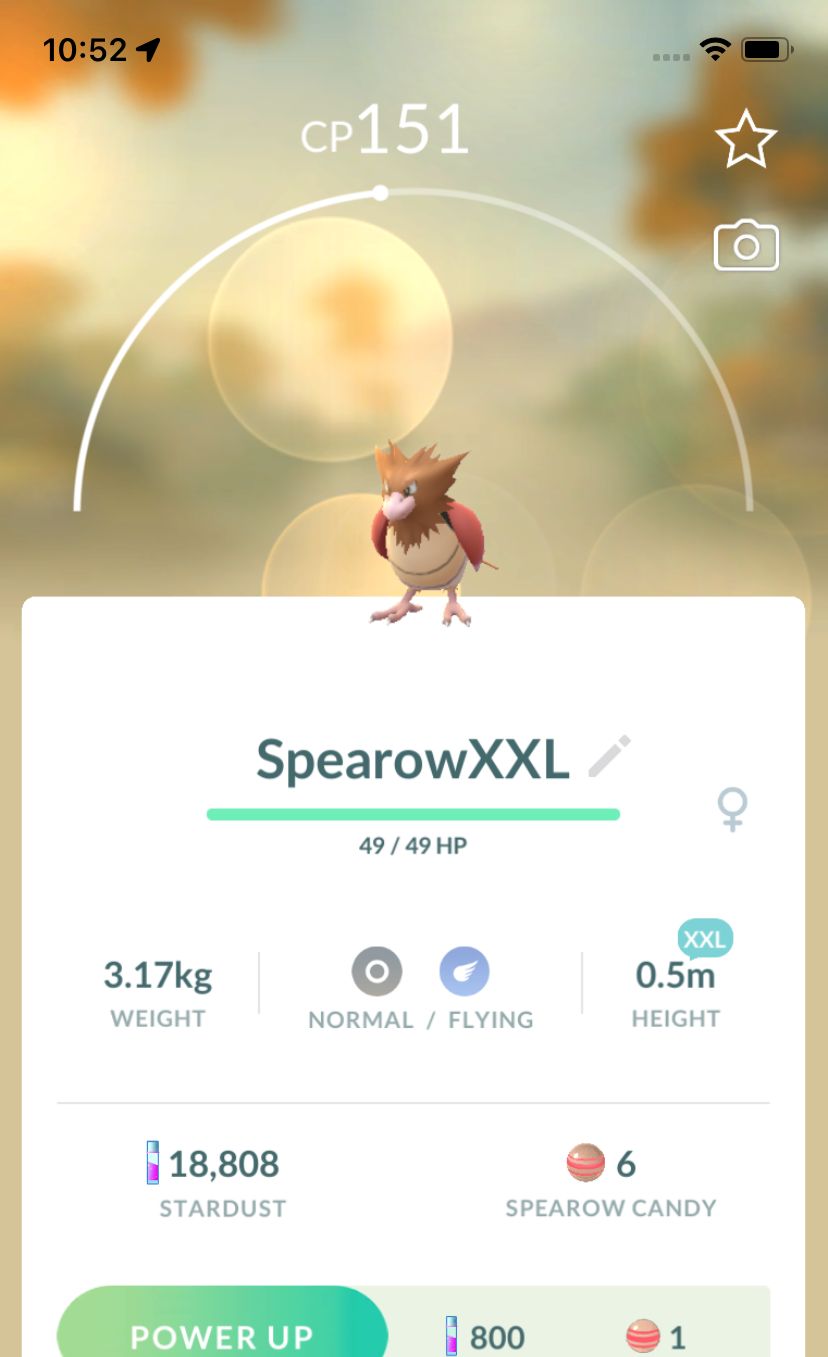 Spearow (XXL Height) - Pokemon GO Trade Service