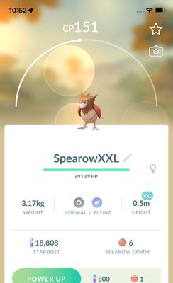 Spearow (XXL Height) - Pokemon GO Trade Service