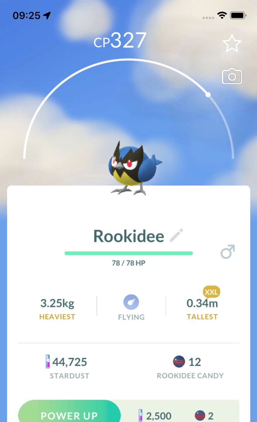 Rookidee (XXL Height) - Pokemon GO Trade Service