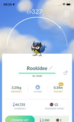 Rookidee (XXL Height) - Pokemon GO Trade Service