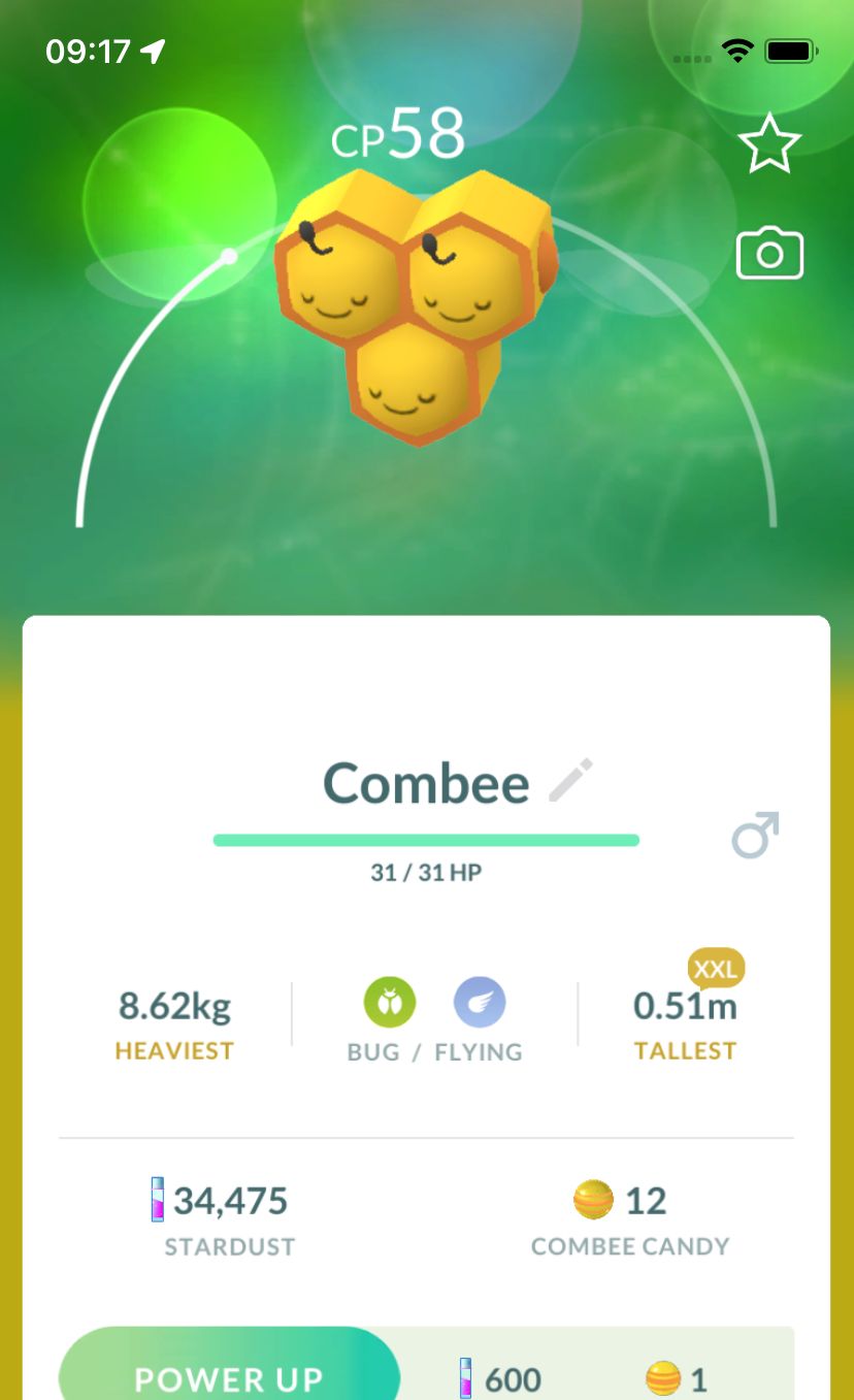 Combee (XXL Height) - Pokemon GO Trade Service