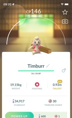Timburr (XXL Height) - Pokemon GO Trade Service