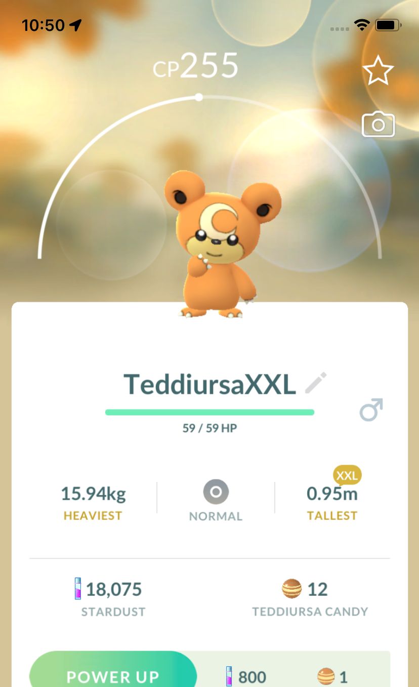 Teddiursa (XXL Height) - Pokemon GO Trade Service