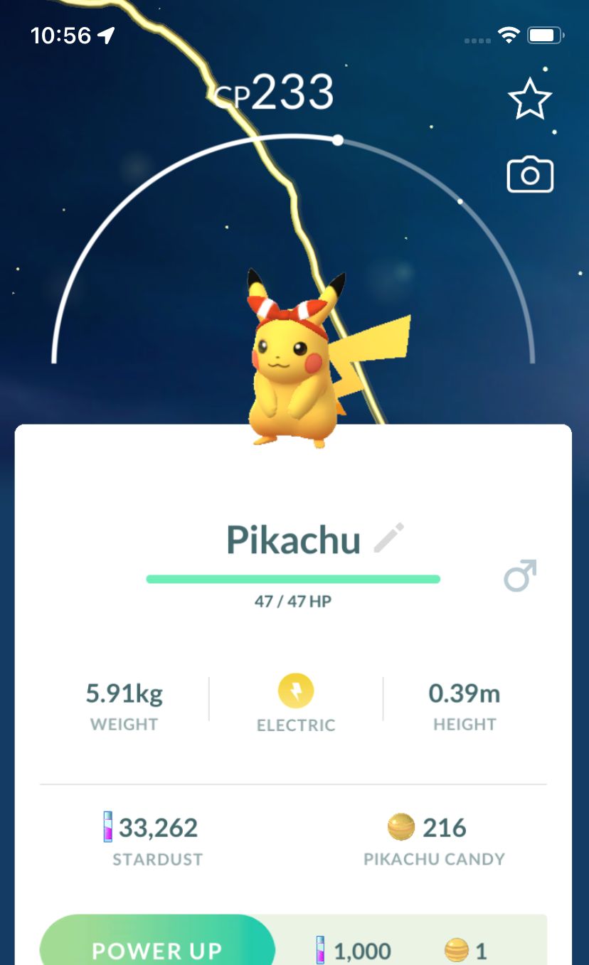 Pikachu May Bow Trade - Pokemon GO Trade