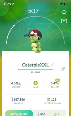 Caterpie with Cap (XXL Height) - Pokemon GO Trade Service