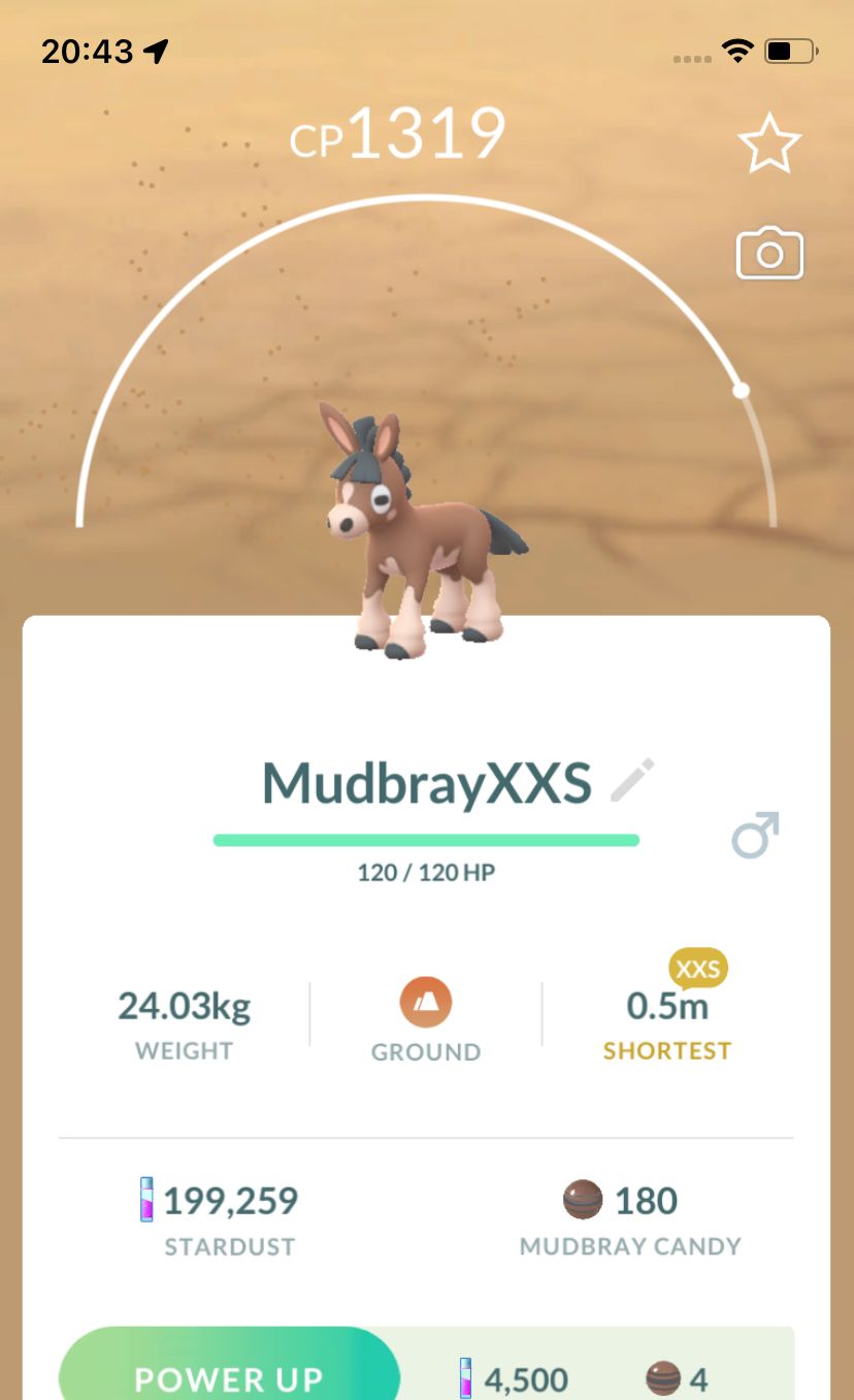 Mudbray (XXS Height) - Pokemon GO Trade Service
