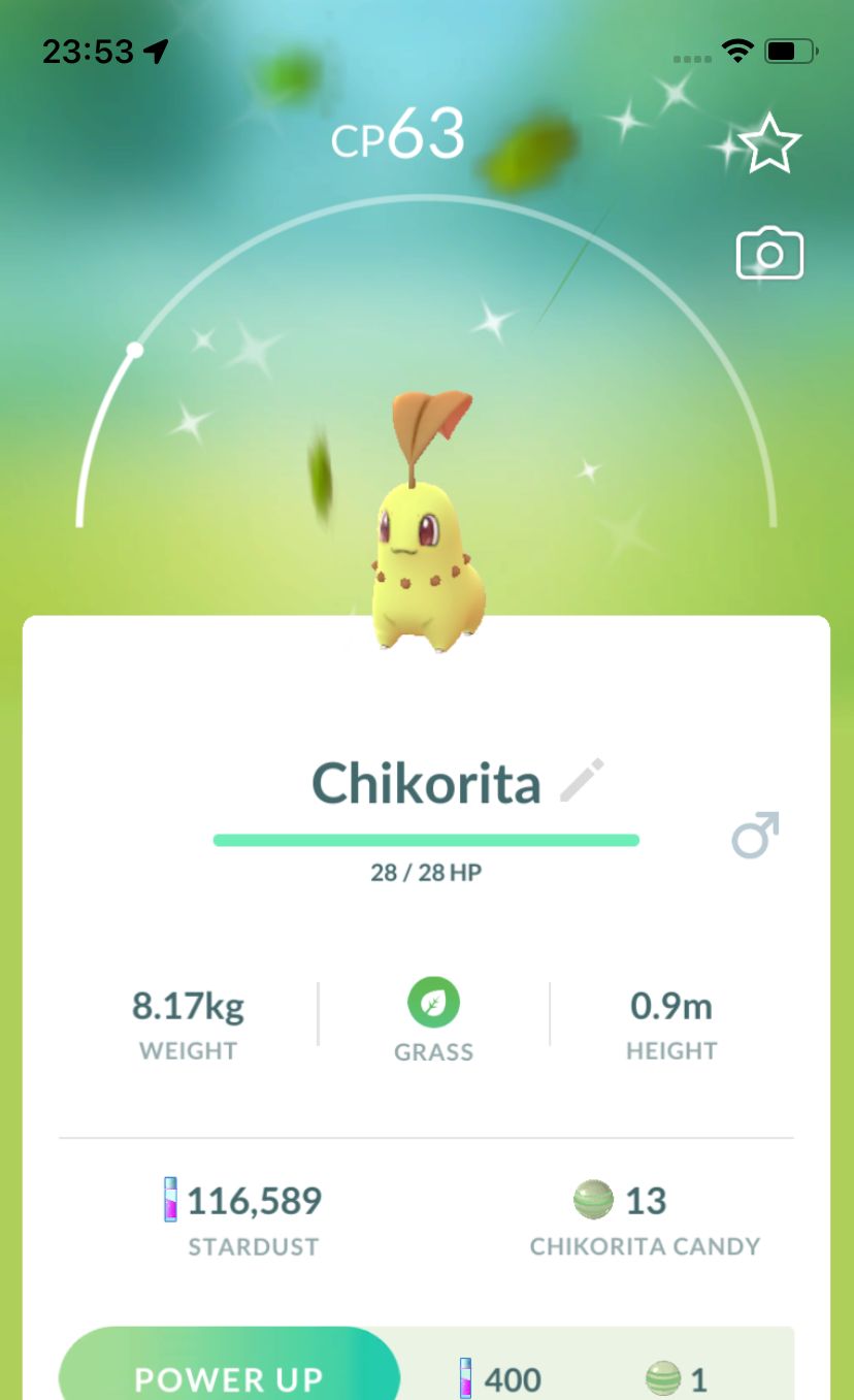 Shiny Chikorita - Pokemon GO Trade Service