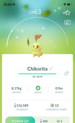 Shiny Chikorita - Pokemon GO Trade Service
