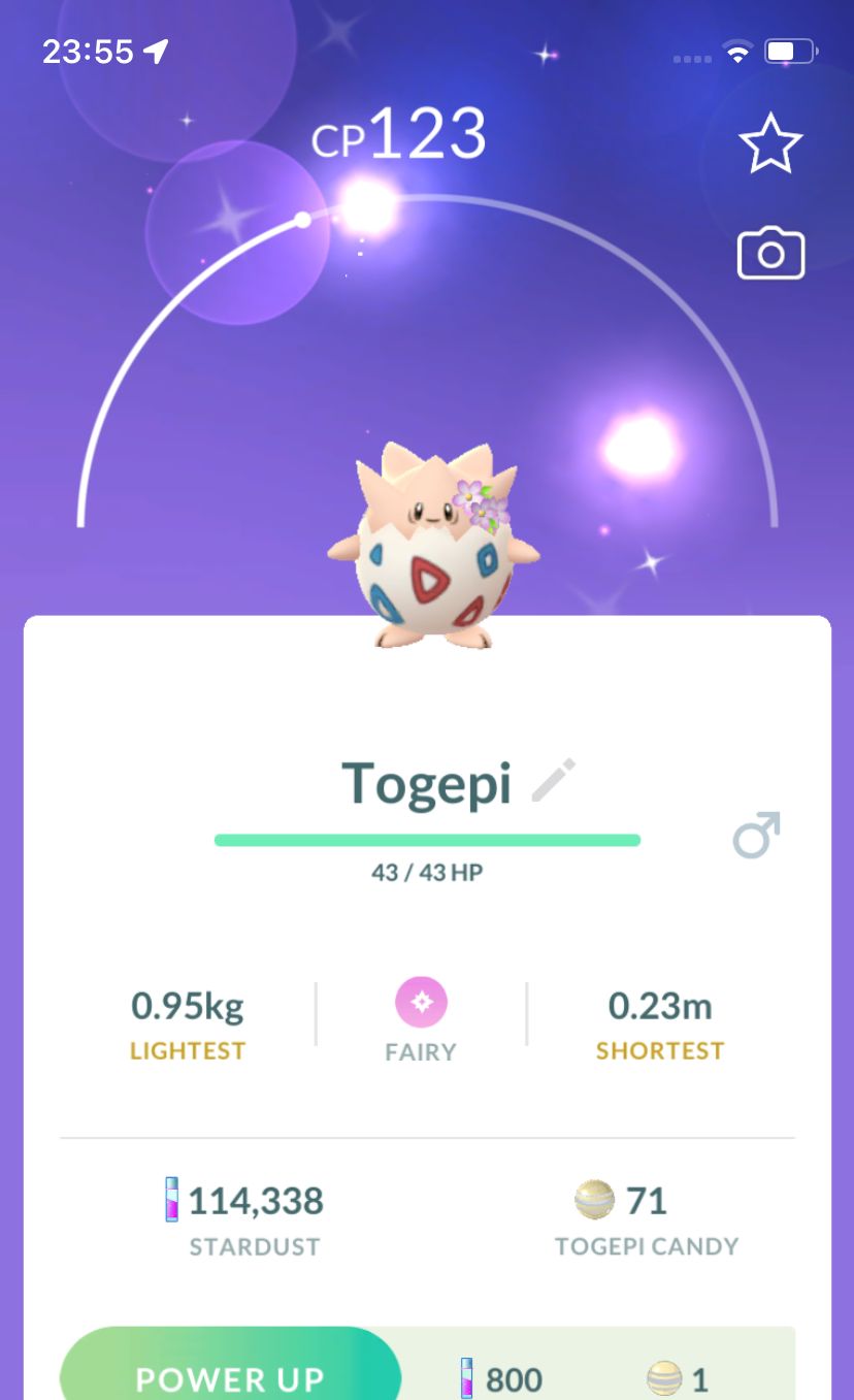 Shiny Togepi with Flowers - Pokemon GO Trade Service