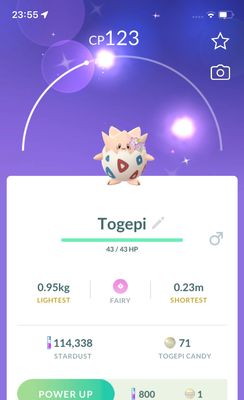 Shiny Togepi with Flowers - Pokemon GO Trade Service