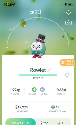 Shiny Rowlet with Halloween Costumes - Pokemon GO Trade Service