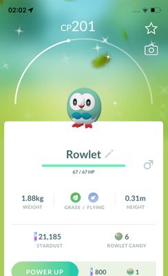 Shiny Rowlet - Pokemon GO Trade Service