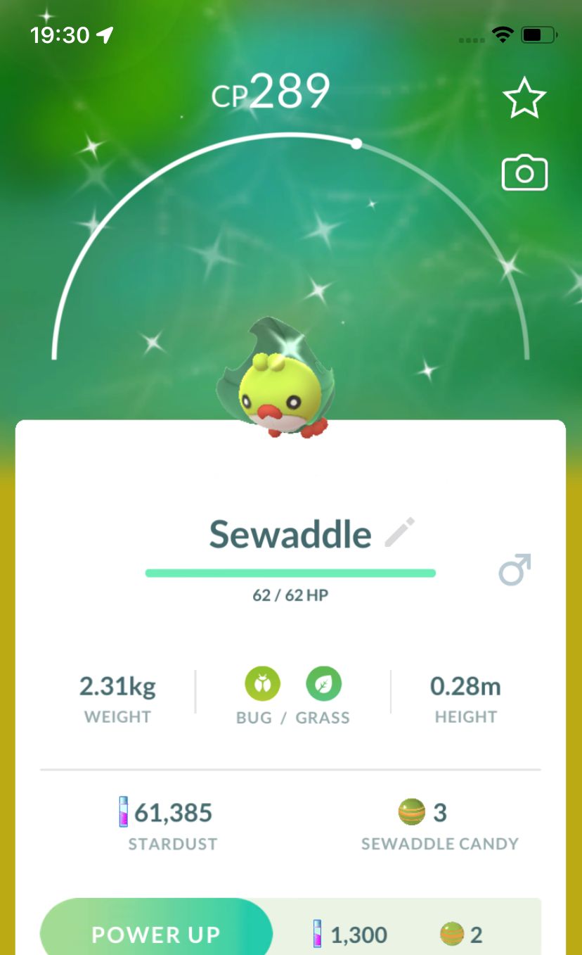 Shiny Sewaddle trade - Pokemon GO Trade Service