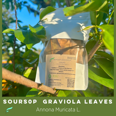 "Soursop Strong" Soursop Graviola Leaf Tea (A. Muricata) "Soursop Strong" Soursop Graviola Leaf Tea (A. Muricata)