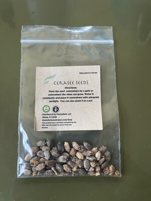 Cerasee seeds