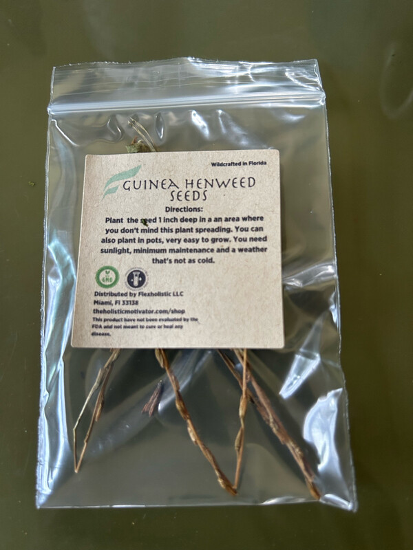 Guinea Henweed seeds
