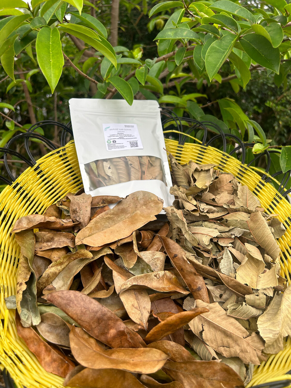 Guava And Soursop leaves