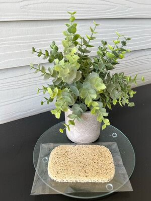 Soap Bar Saver