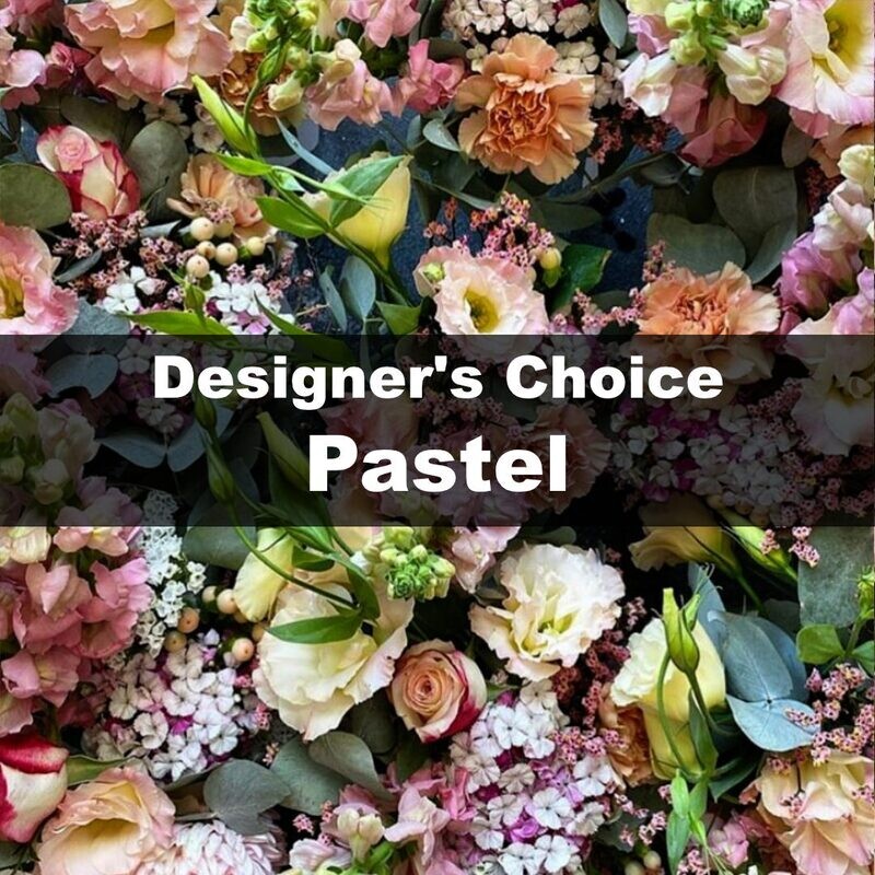 Designer's Choice pastel Designer's Choice pastel
