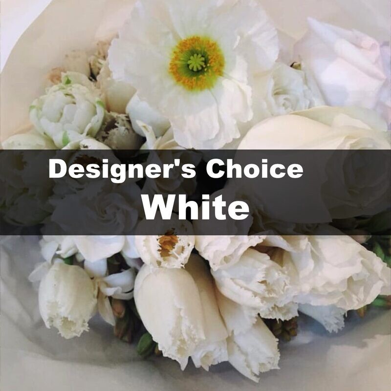 Designer's Choice White Designer's Choice White