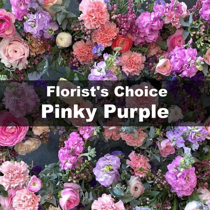 Florist's Choice Pinky Purple