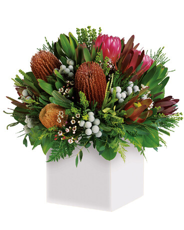 Nunkeri Australian Flowers