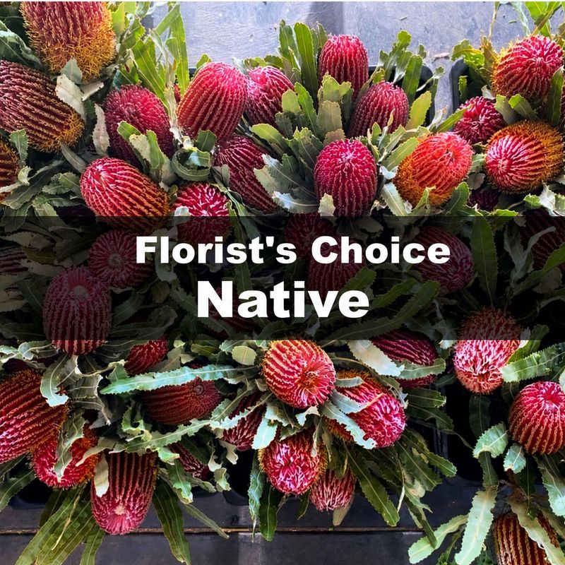Florist's Choice Native