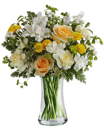Celebrate Mum