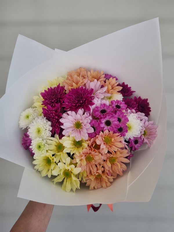 MUM POSY MUM POSY "ChrysantheMUMs"