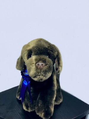 Doggie Plushie