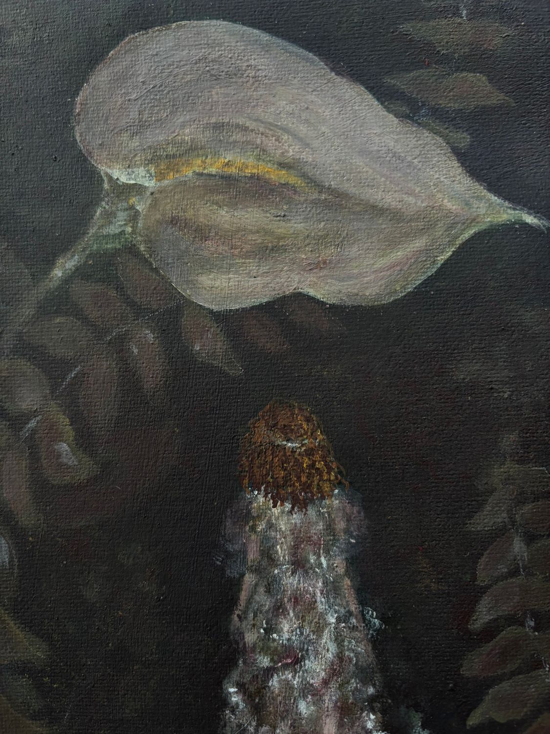 Ottilie &amp; The Lily