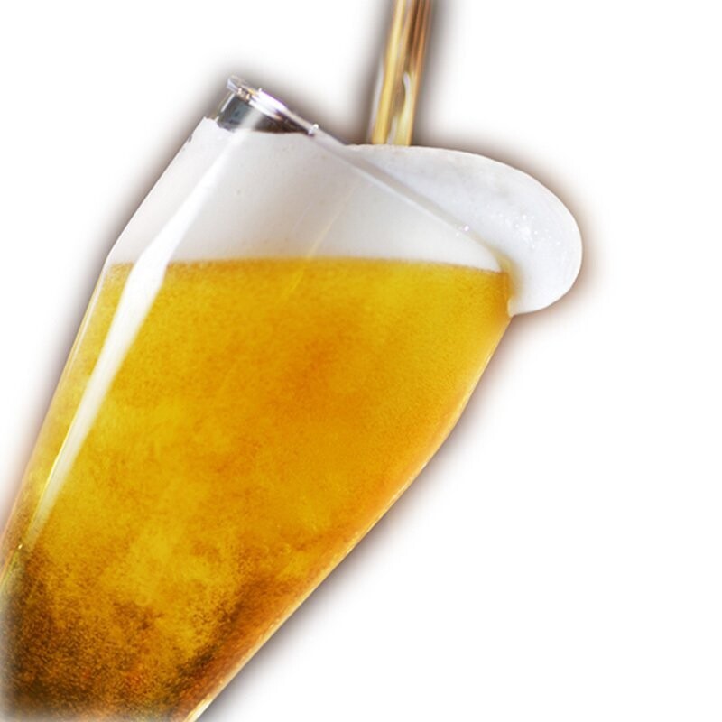 Birra Spina Lager Bionda Lt 1