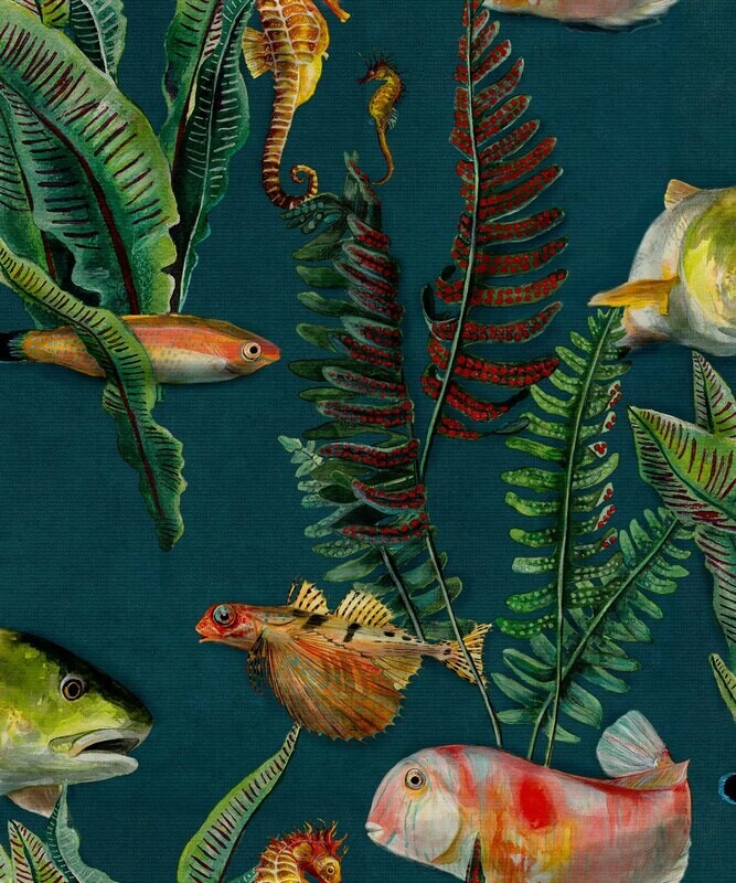 Bank of fish Lagoon