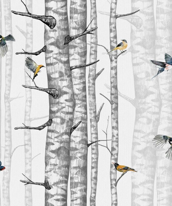 Birch trees Grey