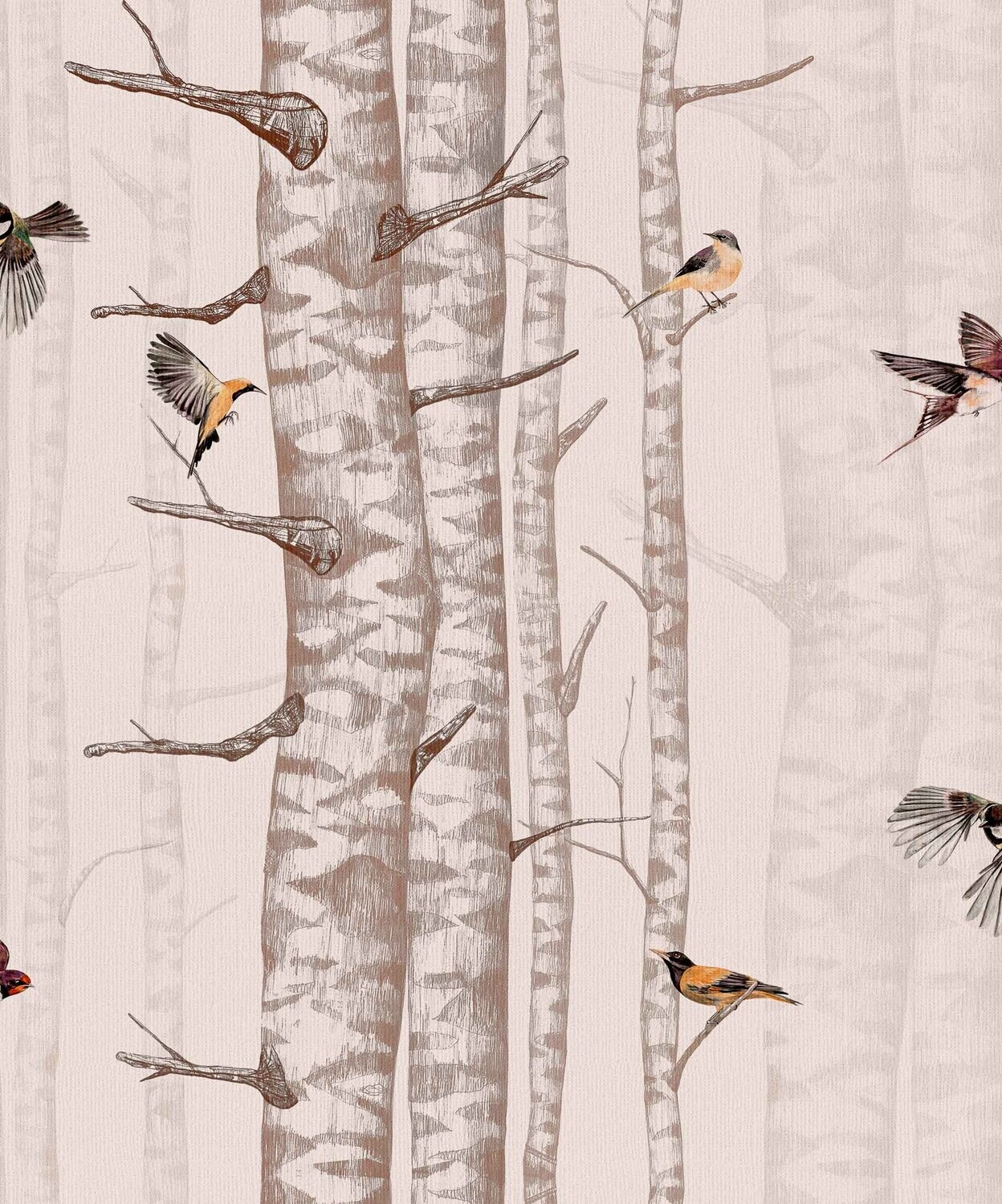 Birch trees Pink