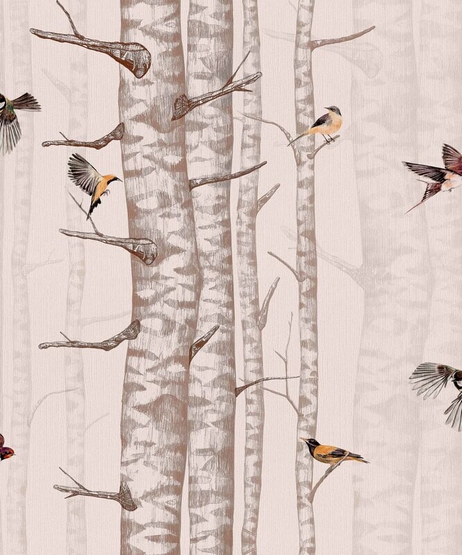 Birch trees Pink