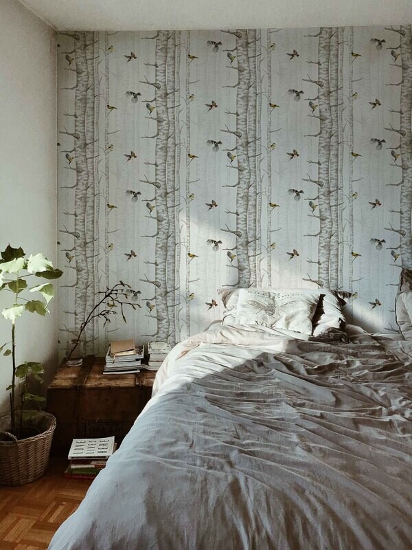 Birch trees Beige