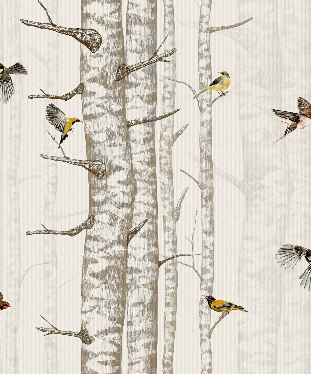 Birch trees Beige